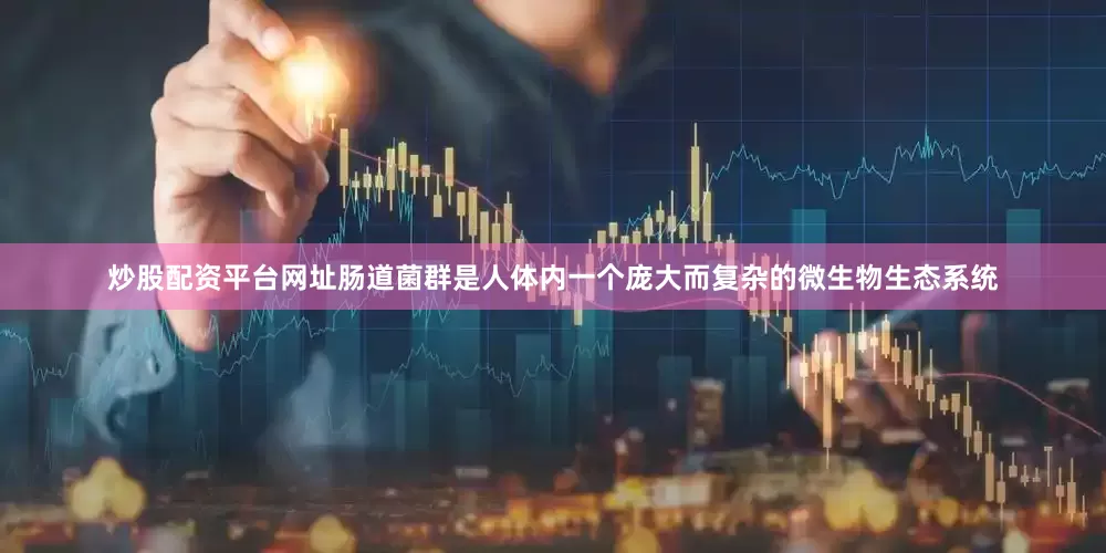 炒股配资平台网址肠道菌群是人体内一个庞大而复杂的微生物生态系统