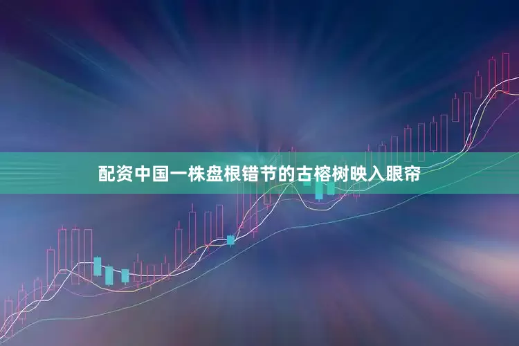 配资中国一株盘根错节的古榕树映入眼帘