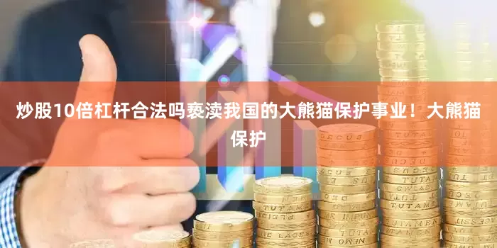 炒股10倍杠杆合法吗亵渎我国的大熊猫保护事业！大熊猫保护