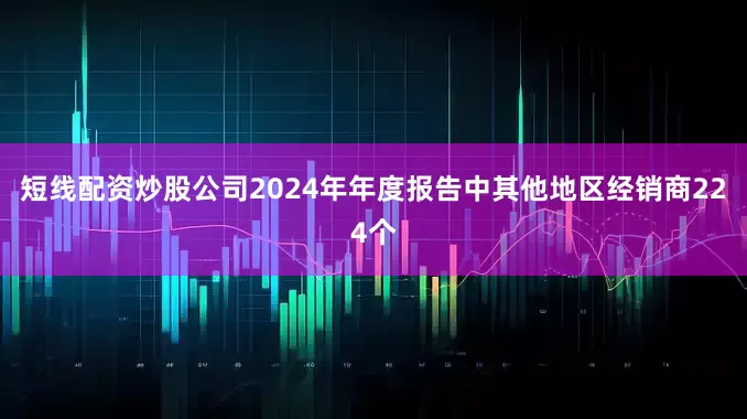 短线配资炒股公司2024年年度报告中其他地区经销商224个