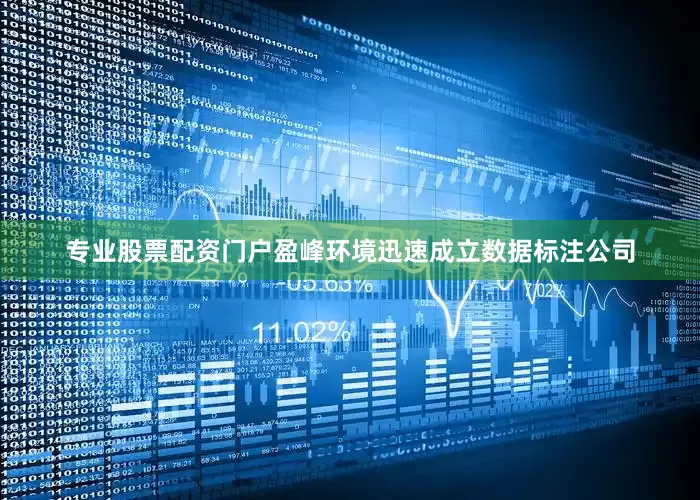 专业股票配资门户盈峰环境迅速成立数据标注公司